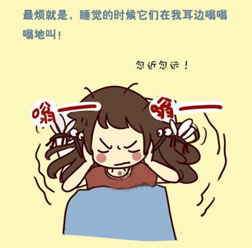 蚊子醒了！快走進紗窗世界，遠離蚊蟲so easy！