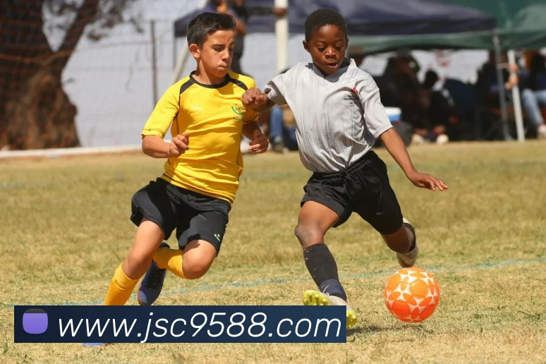 金沙国际官网发展历程